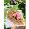 YẾN SÀO LAMNEST VINH NGUYỄN