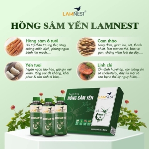 Yến Sào Chưng Với Gì Bổ Nhất? Cẩm Nang Kết Hợp Yến Sào Dành Cho Bạn