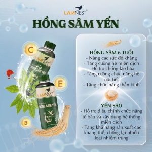 Hồng Sâm Yến: Sự Kết Hợp Tinh Túy Cho Sức Khỏe Toàn Diện